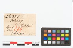 Etikett zu Bernsteinringperle (NHMW-PRAE-026347)